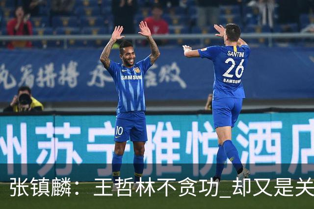 张镇麟：王哲林不贪功 却又是关键时刻能站出来的人 队长当之无愧